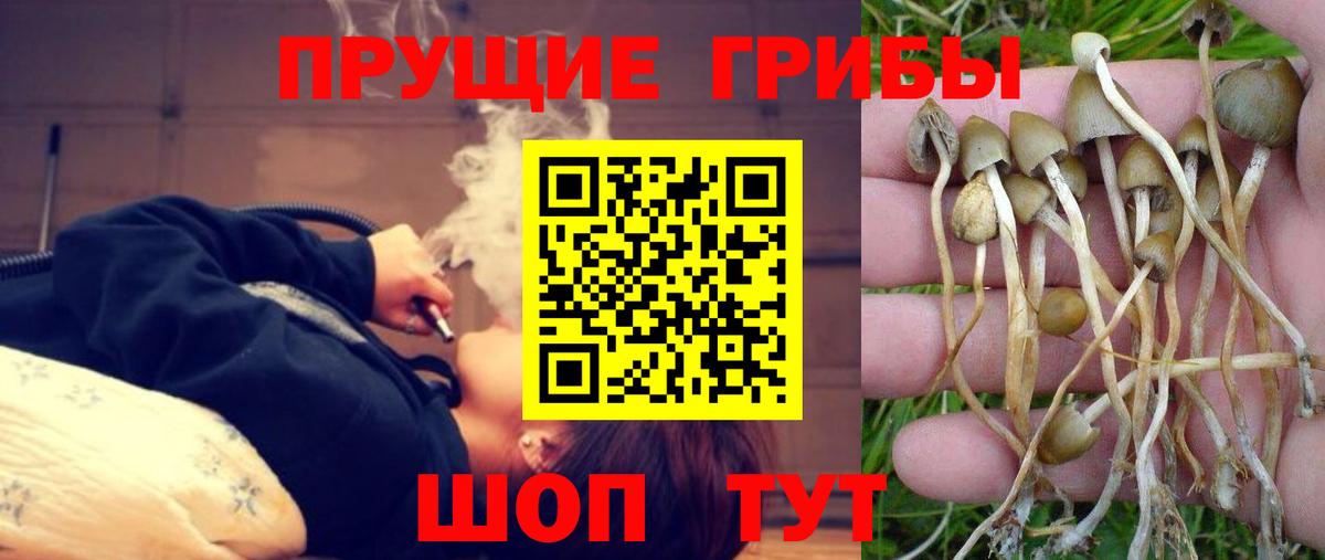 Галлюциногенные грибы Magic Shrooms Печора