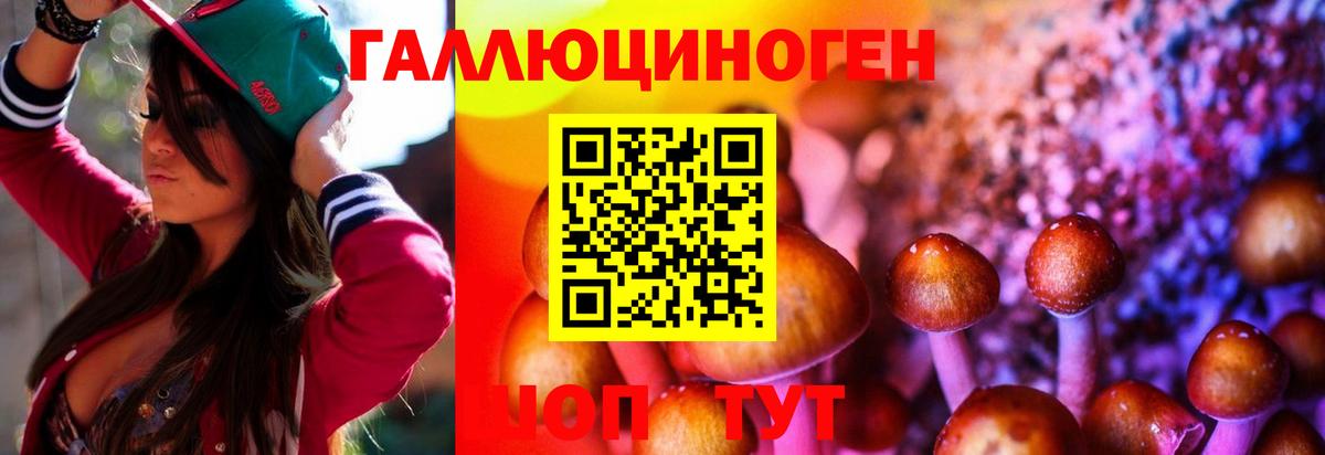 Псилоцибиновые грибы Cubensis  где продают   Печора  Вход с VPN 